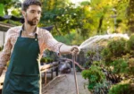 ECO garden services